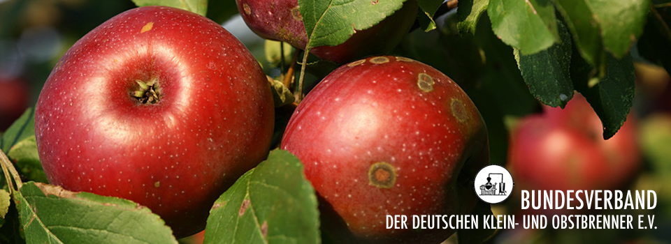 Bundesverband der Deutschen Klein- und Obstbrenner